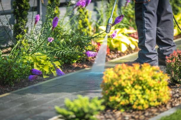 Best Dumpster Area Cleaning  in South Sarasota, FL